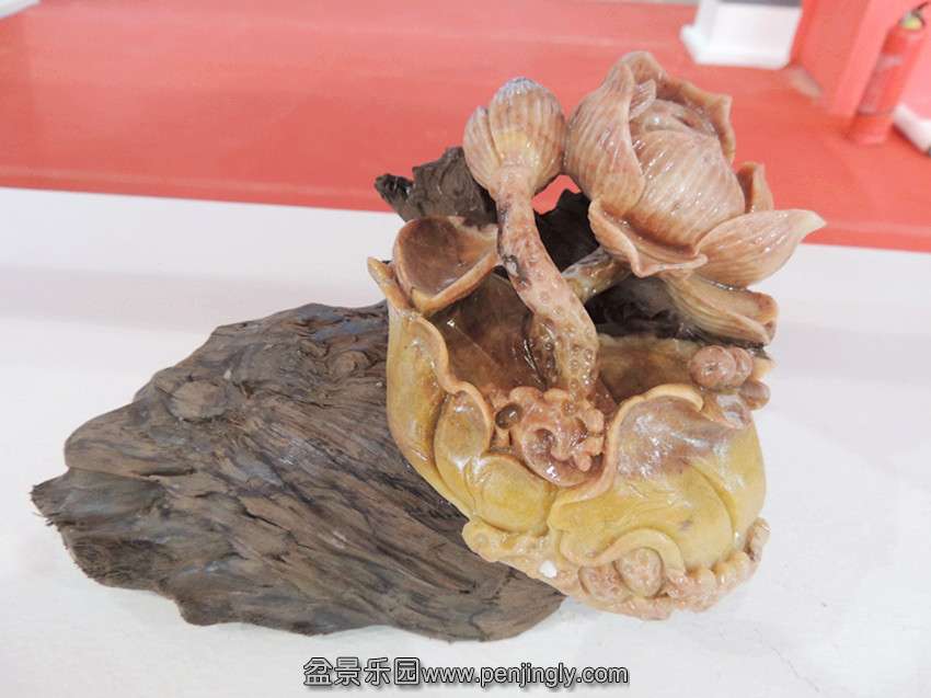 DSCN3181_.jpg
