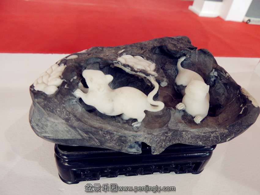 DSCN3184_.jpg