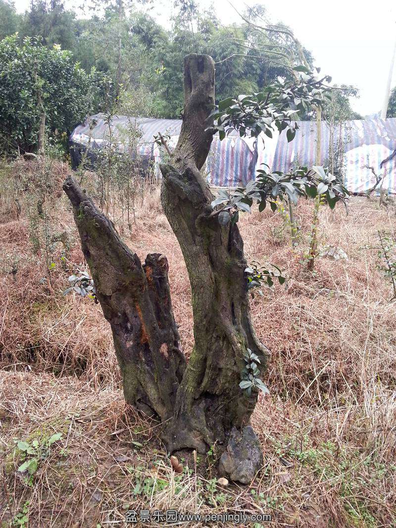 20131113_113110_.jpg
