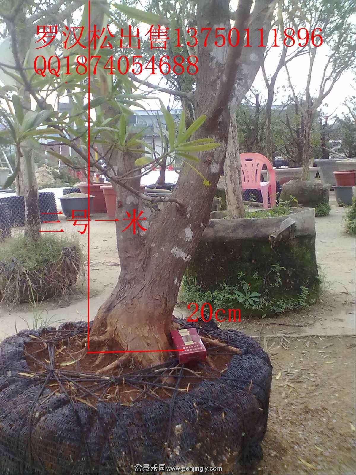 20131120501.jpg