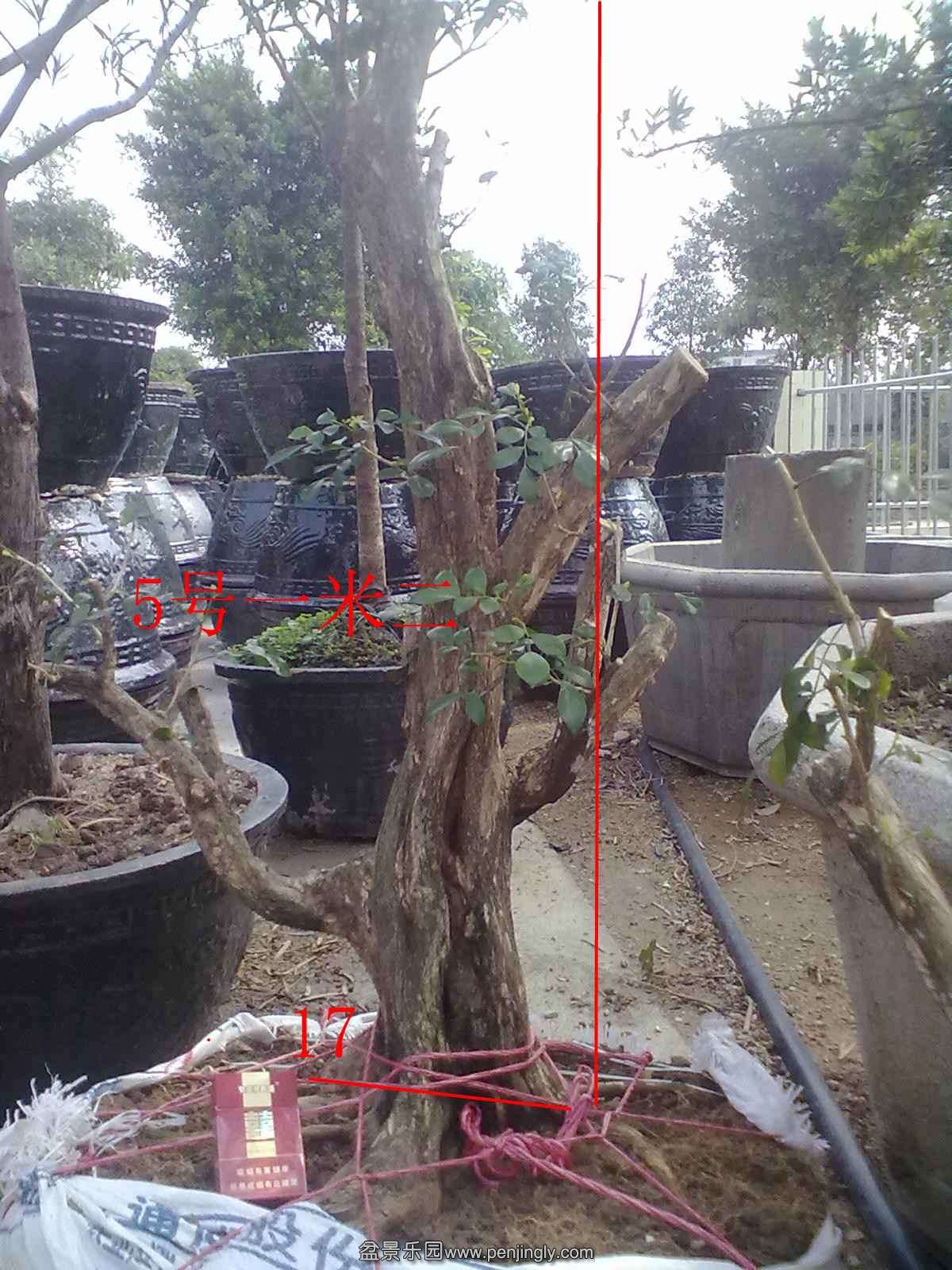20131120505.jpg
