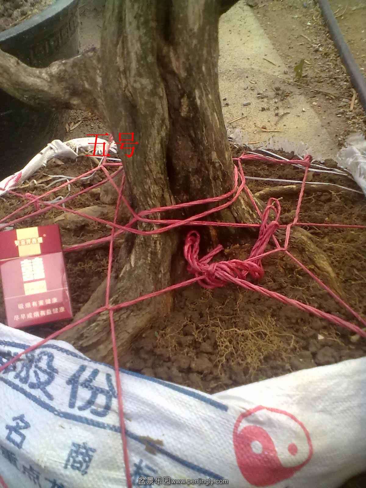 20131120506.jpg