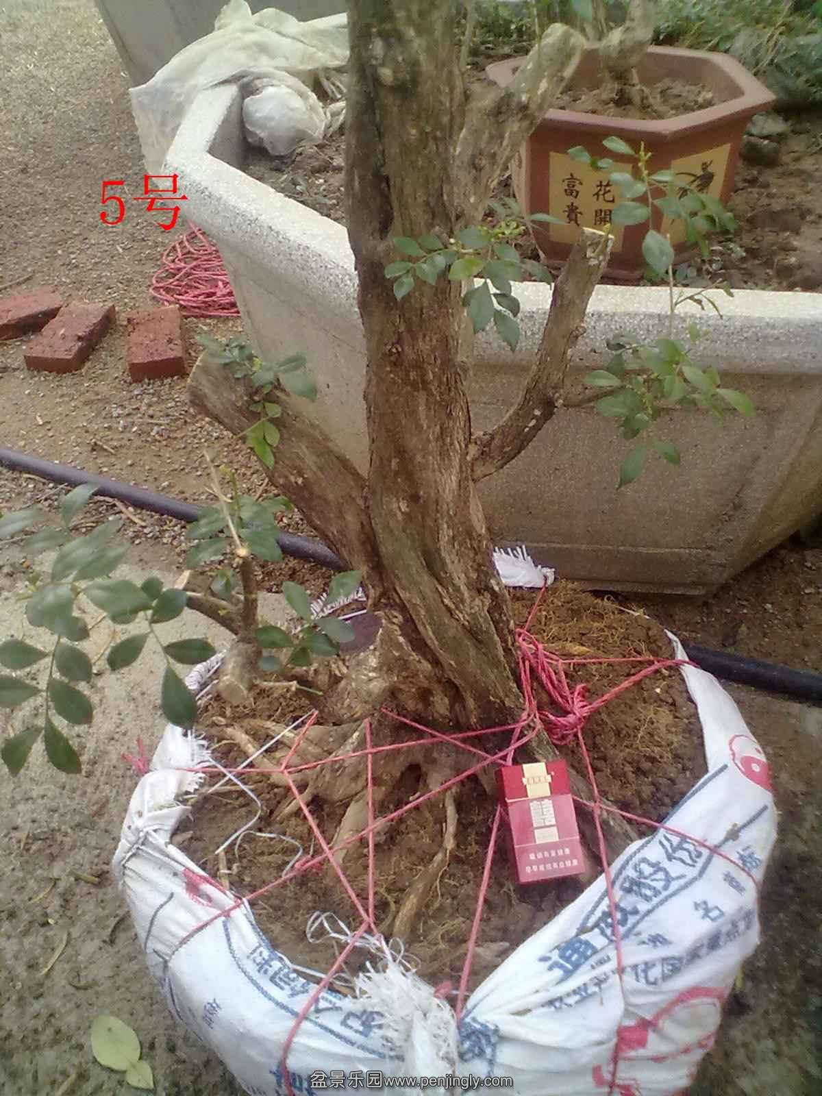 20131120507.jpg