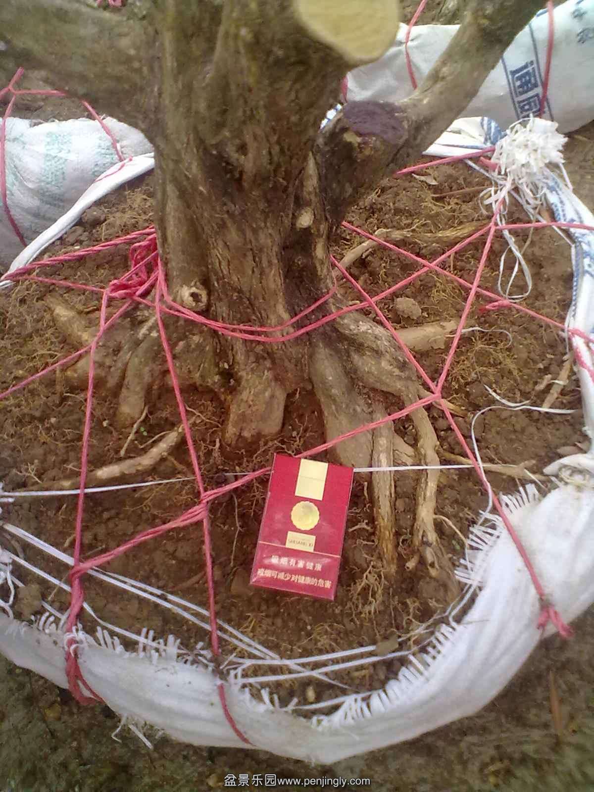 20131120509.jpg