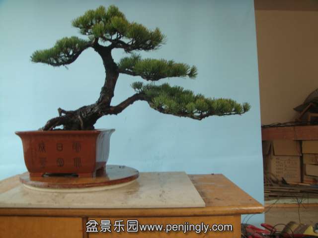 DSC04151.JPG
