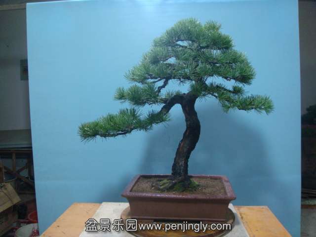 DSC04159.JPG