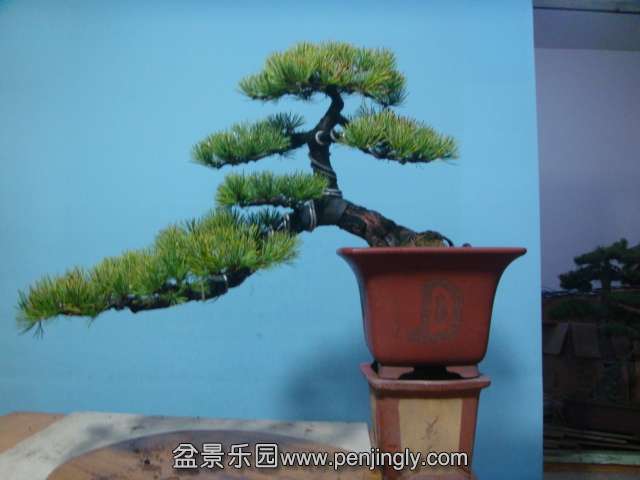 DSC04165.JPG