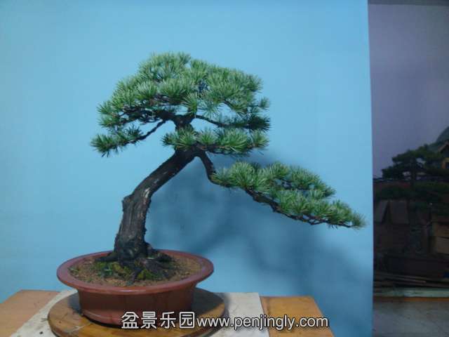 DSC04170.JPG