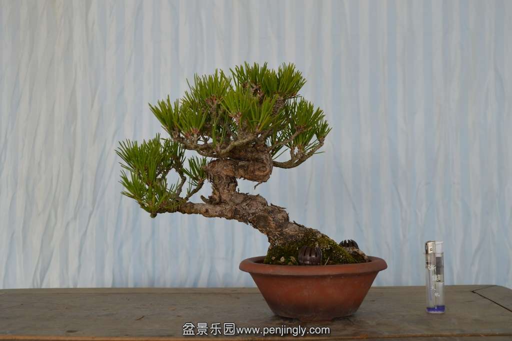 DSC_0221 (1024x681).jpg