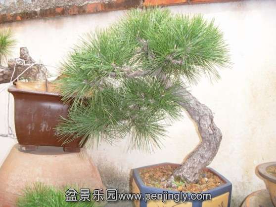 SDC13546.JPG