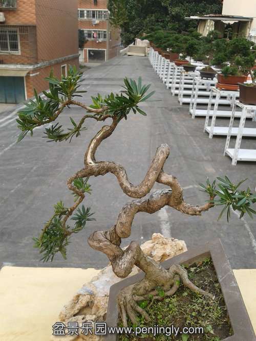 2013-11-21 14.06.16.jpg