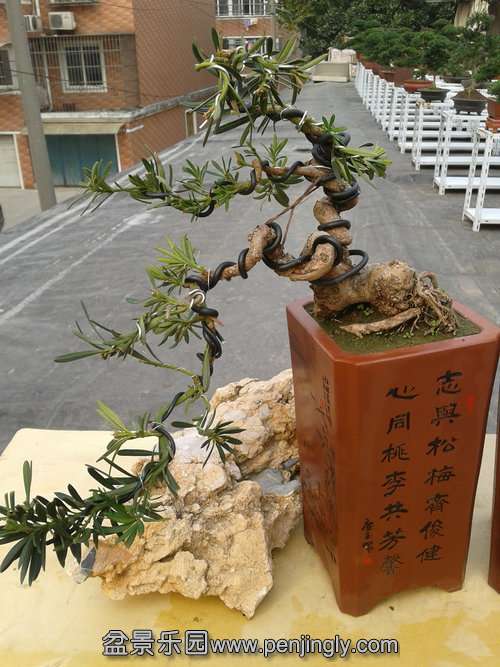 2013-11-21 14.11.14.jpg