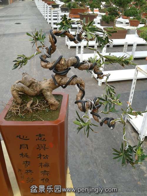 2013-11-21 14.11.34.jpg