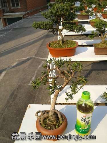  2013-11-20 13.55.04.jpg