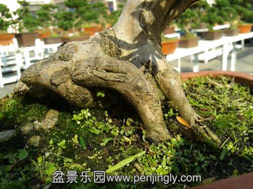 2013-11-19 12.45.13.jpg