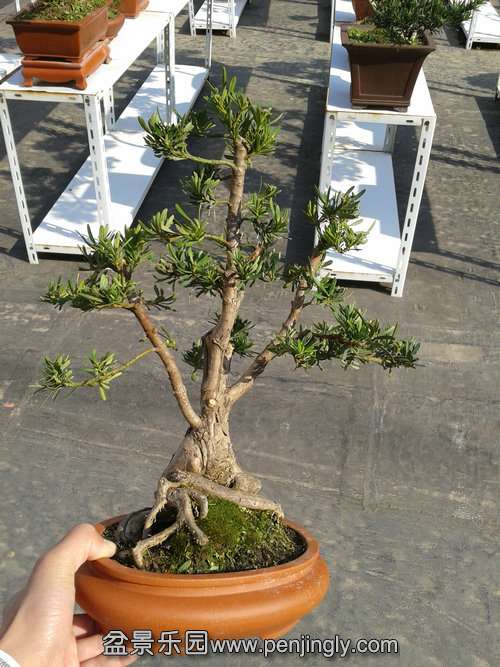 2013-11-19 12.48.39.jpg