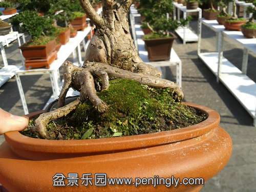 2013-11-19 12.48.50.jpg