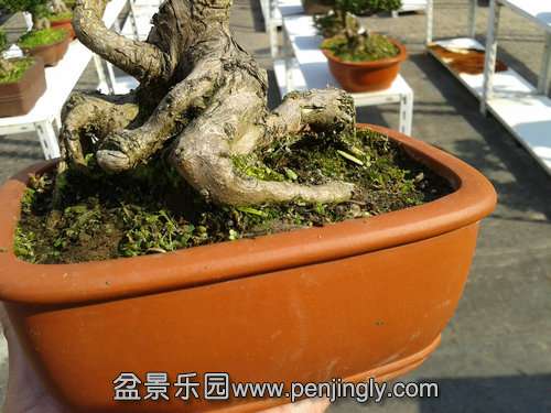 2013-11-19 13.02.30.jpg