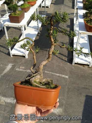 2013-11-19 13.03.01.jpg