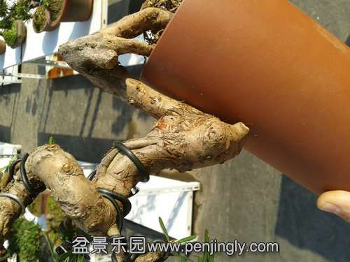 2013-11-19 13.20.05.jpg