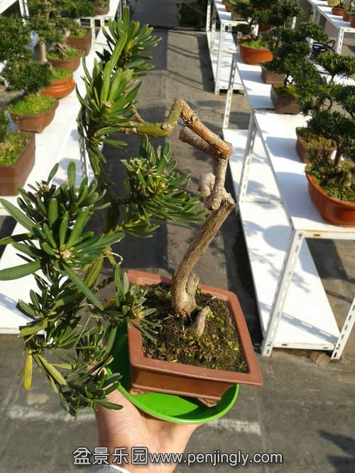 2013-11-19 13.31.10.jpg