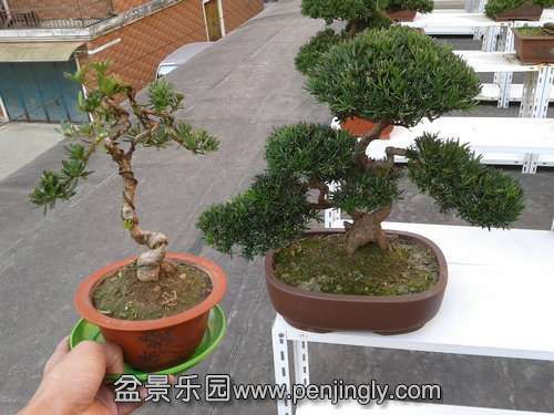 2013-11-19 13.48.45.jpg