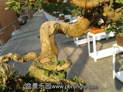 2013-11-19 13.55.54.jpg