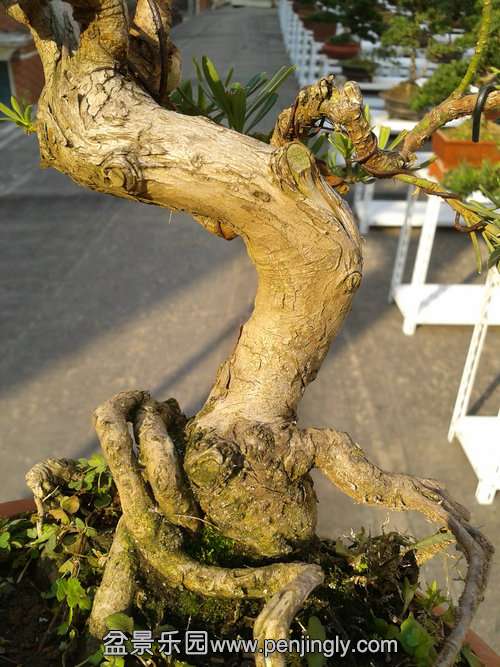 2013-11-19 13.57.09.jpg