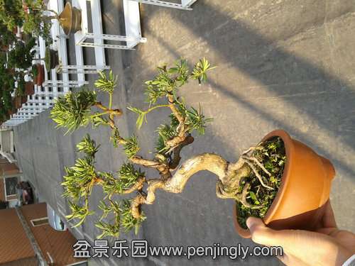 2013-11-19 13.59.22.jpg