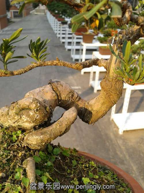 2013-11-20 14.22.39.jpg