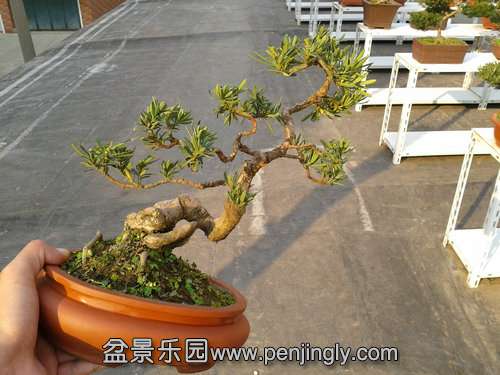 2013-11-20 14.23.02.jpg