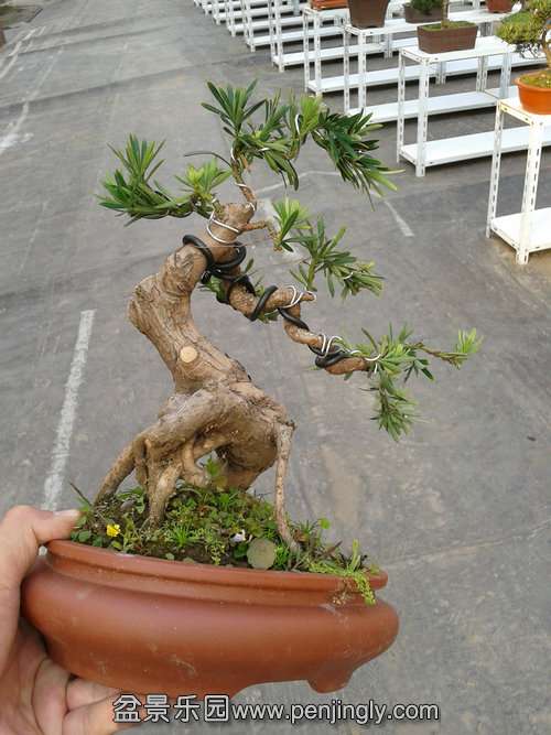 2013-11-20 14.48.38.jpg