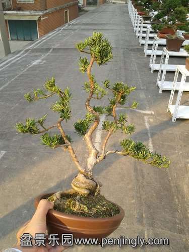 2013-11-20 14.28.28.jpg