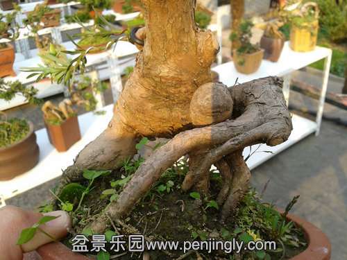 2013-11-20 14.50.45.jpg