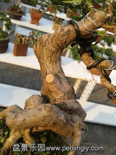 2013-11-20 14.51.35.jpg