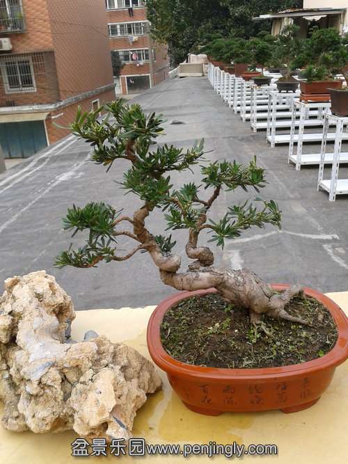 2013-11-21 13.25.57.jpg