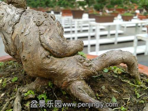 2013-11-21 13.27.31.jpg