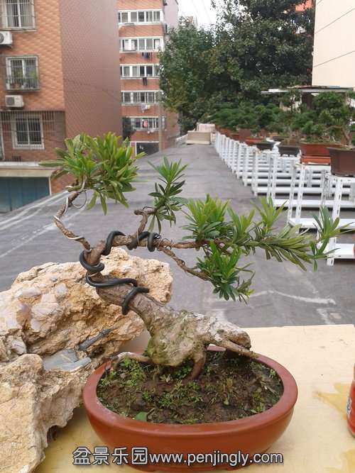 2013-11-21 13.55.23.jpg