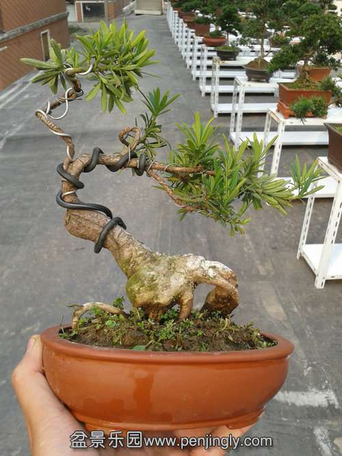 2013-11-21 13.57.08.jpg