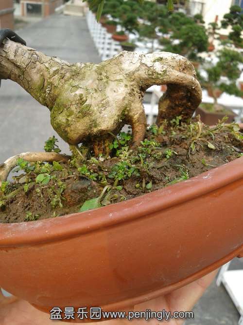 2013-11-21 13.57.28.jpg