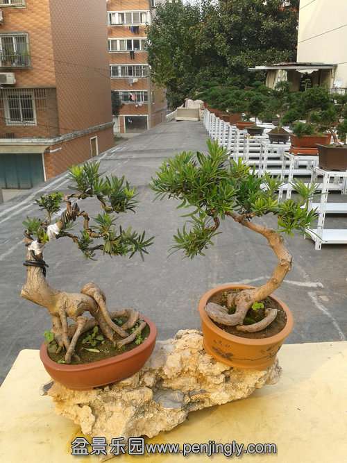 2013-11-21 14.28.15.jpg