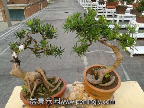 2013-11-21 14.30.13.jpg