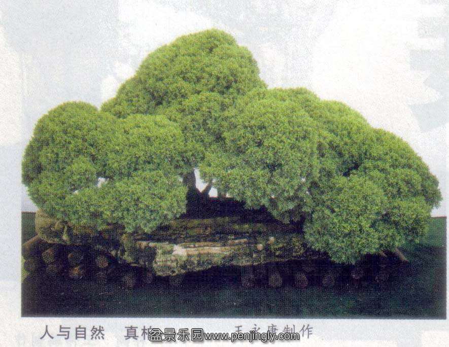8̫չ--.jpg