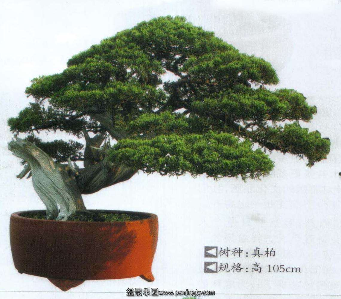 ԰С-3ľ13-8.jpg