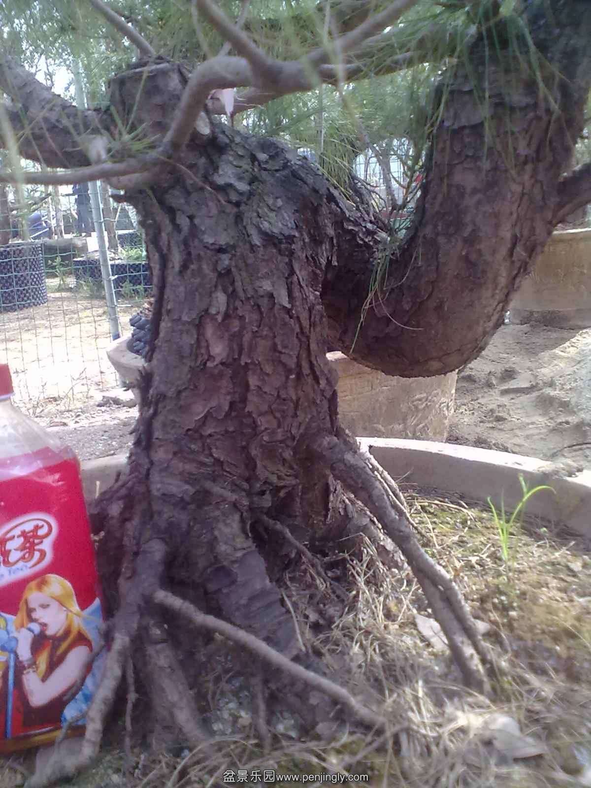20131121609.jpg