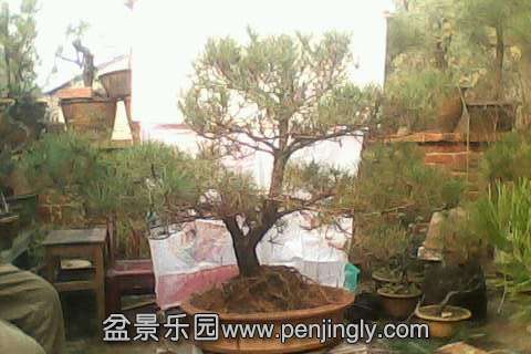 IMG0649A.jpg