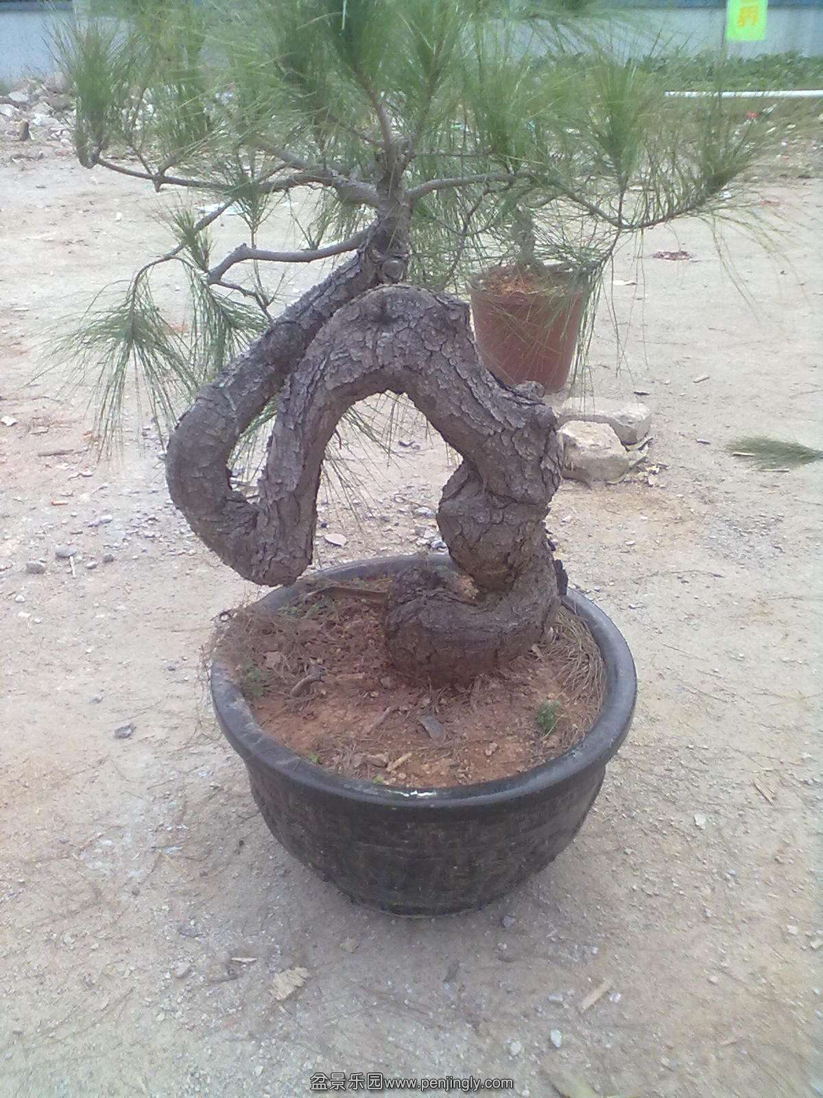 20131120555.jpg