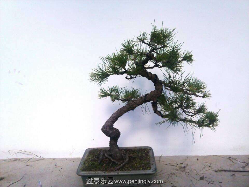 QQͼƬ20131123190741.jpg