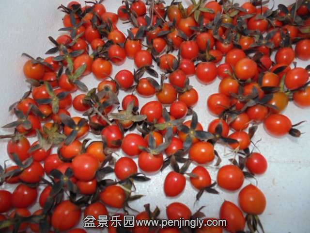 QQͼƬ20131013205535.jpg