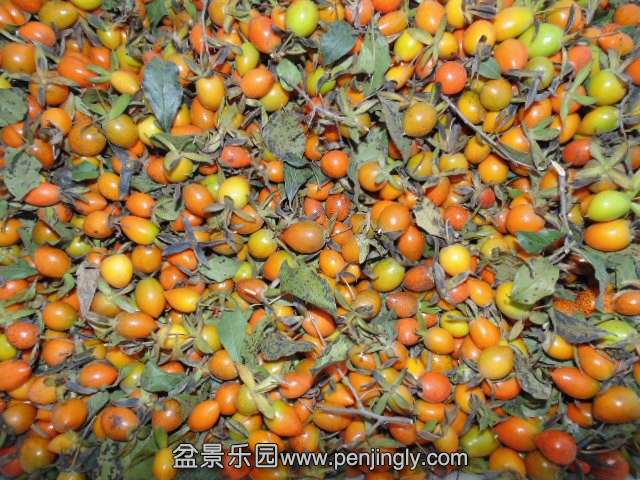 QQͼƬ20131013214554.jpg
